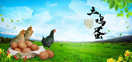 农产品土鸡蛋家禽纯天然背景图片免费下载